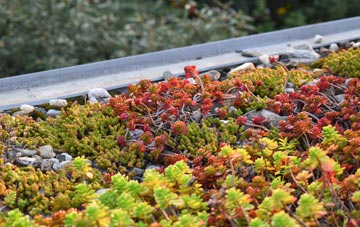 the cost of Reydon Smear green roof installation