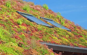 Reydon Smear living roof systems