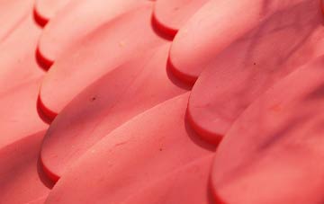 Reydon Smear plastic roof costs