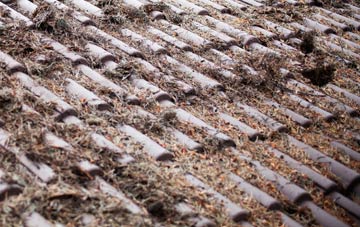 Reydon Smear roof cleaning companies