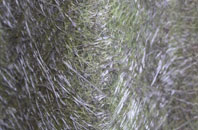 Reydon Smear fibreglass roof work